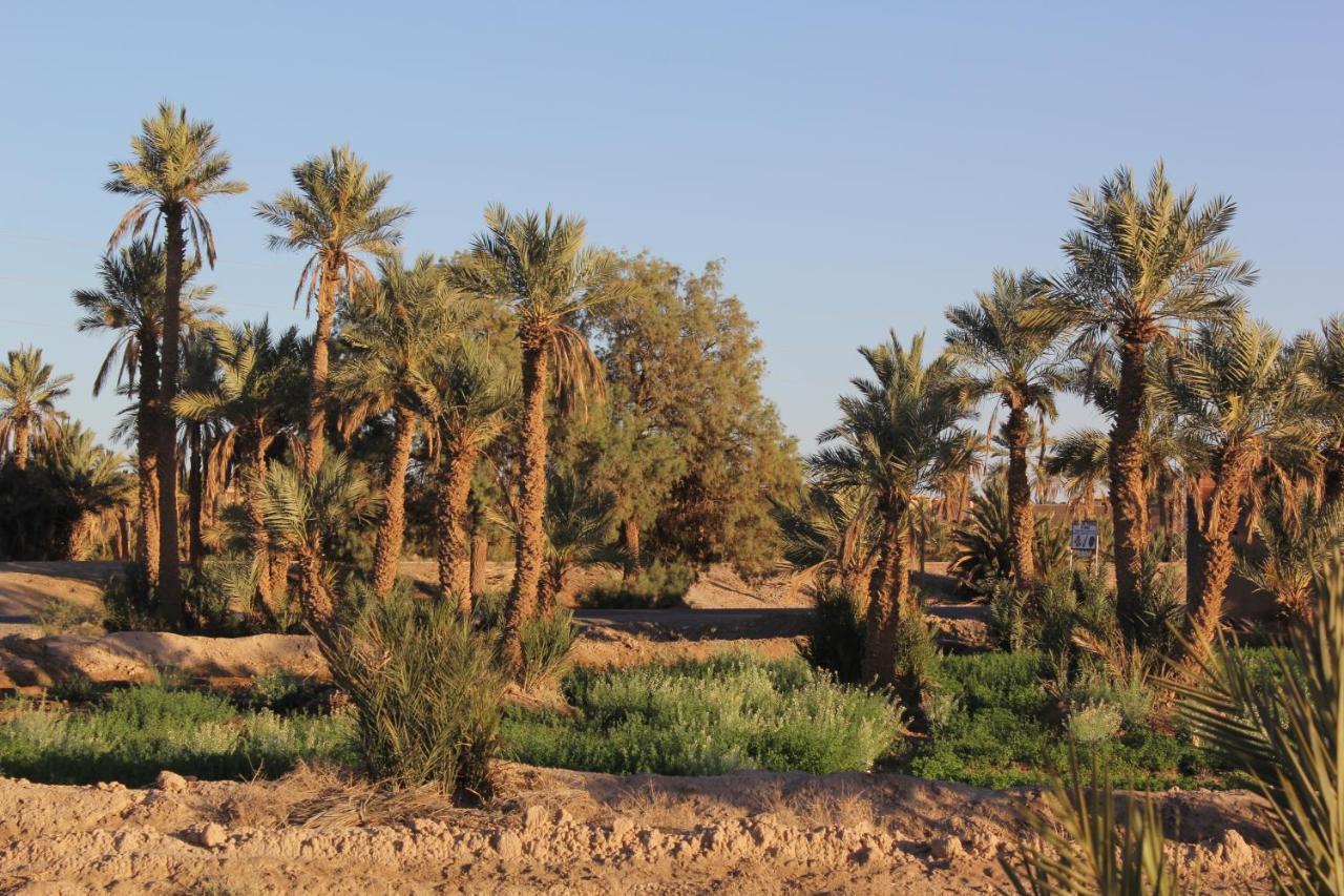 Palais Du Desert Hotel & Spa Ерфуд Екстер'єр фото
